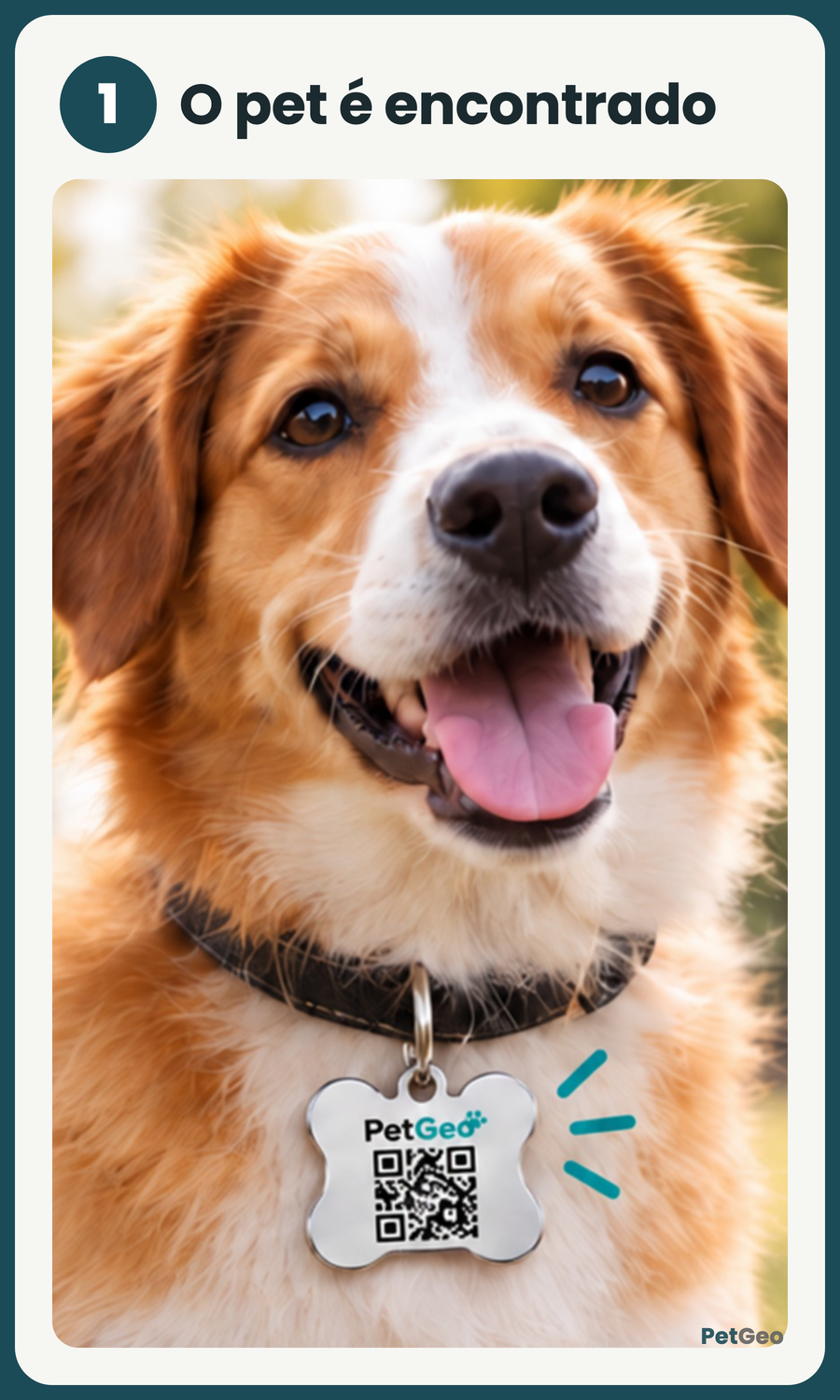 1. The pet is found by someone